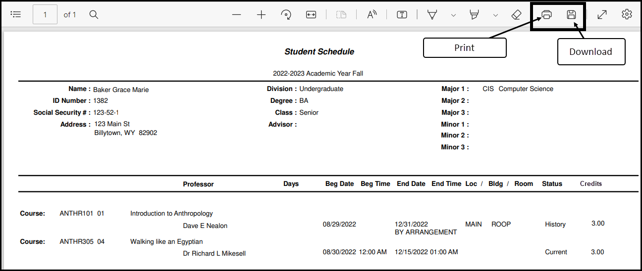 The Print PDF page of a student's schedule showing the Print and Download (or Save) icons