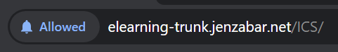 Allowed notifications message