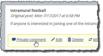 Click Private comment link.