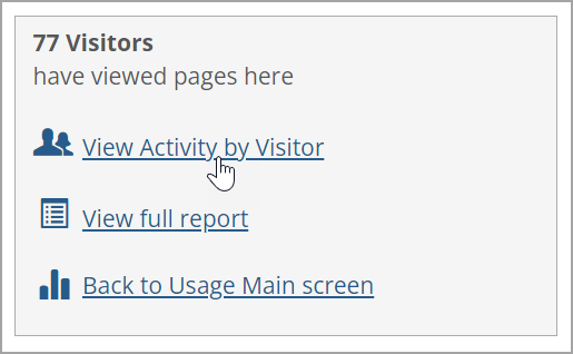 View Activity by Visitor link in lower-level usage stats screen