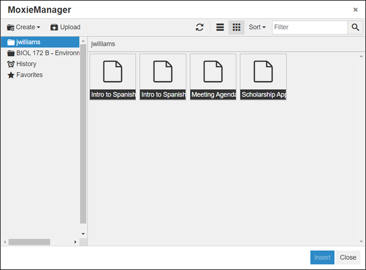 MoxieManager window
