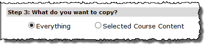 Step 3: What do you want to copy? radio buttons