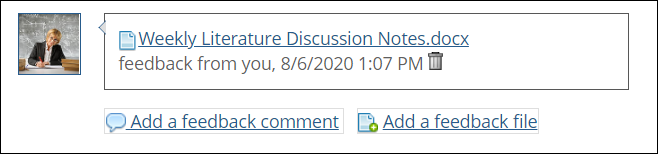 File attached to Feedback with date and time