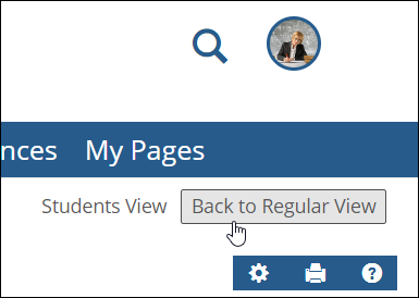 Back to Regular View button