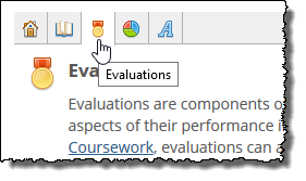 The Evaluations icon at the top looks like a medal.