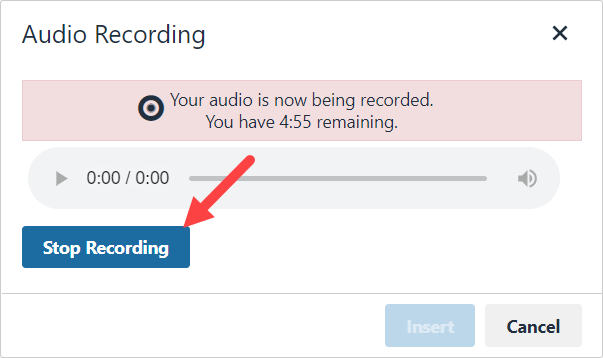 Stop Recording button