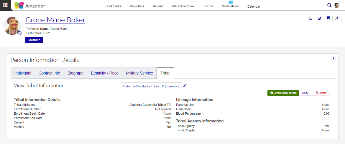 Person Information Details page, Tribal tab.