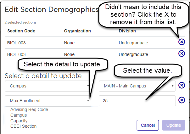 Edit Section Demographics tab pop-up showing selecting a detail and a value