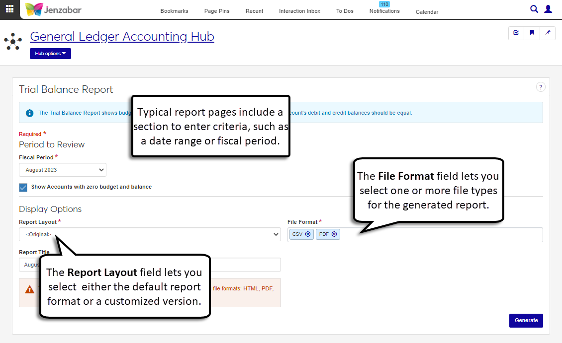 Trial Balance Report page with the report criteria, layout options, and file format options highlighted.
