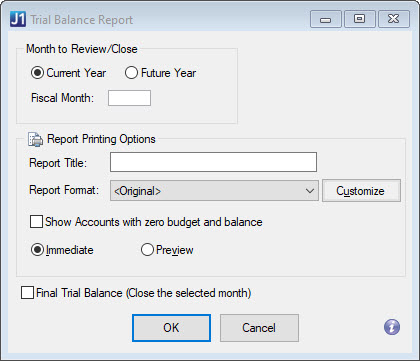 Trial_Balance_Report_window_Desktop.jpg