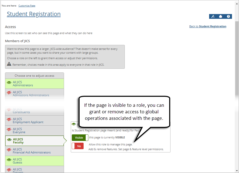 Role access options and global operation permission operations for a feature page.