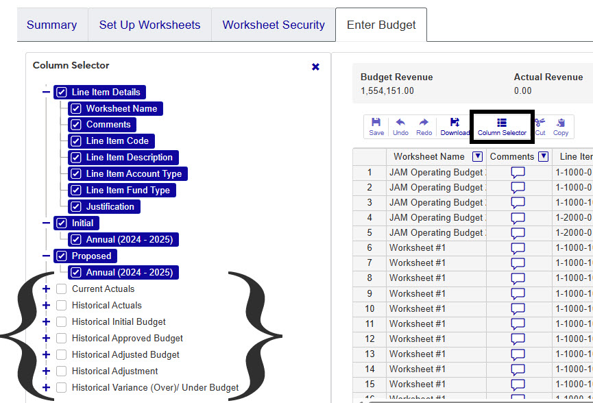 Enter_Budget_tab-Columns.jpg