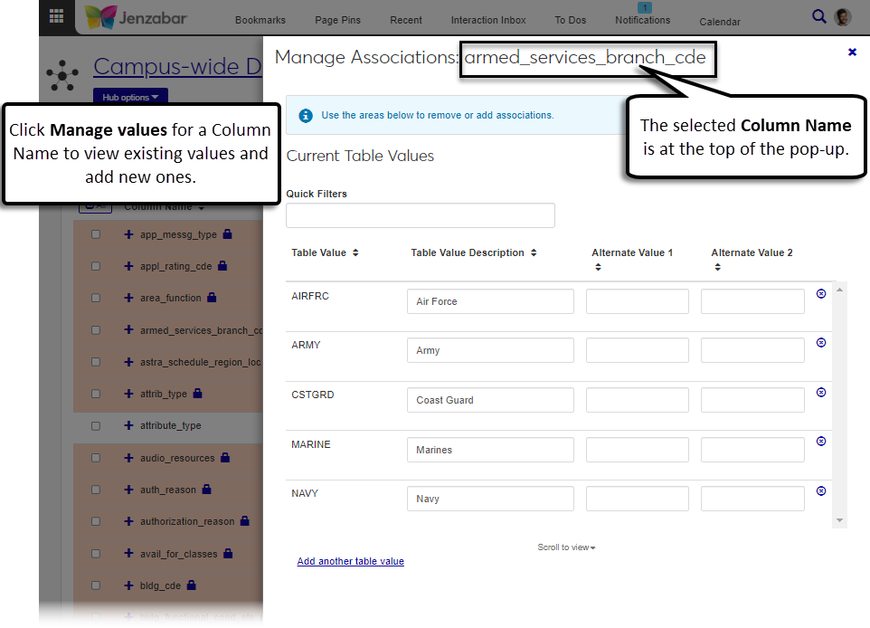 Maintain Table Values page with associations pop-up.