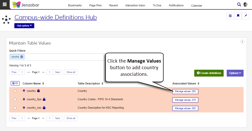 Maintain Table Values page.