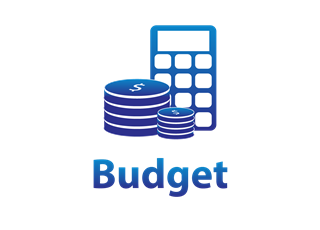 Budget Icon