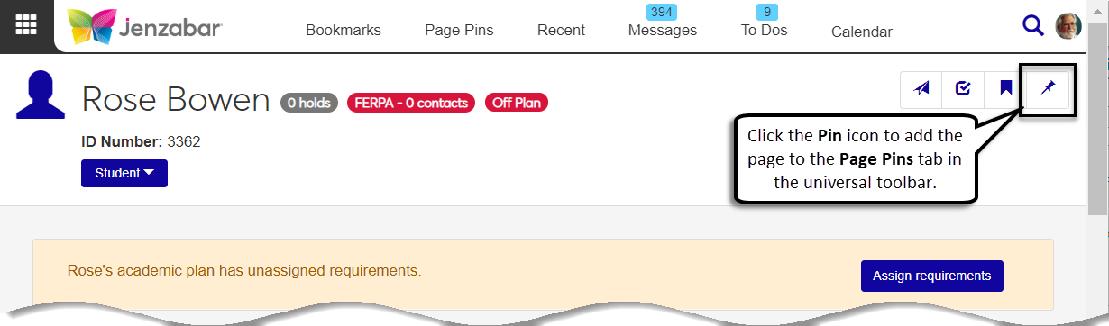Page toolbar with the Pin icon highlighted.