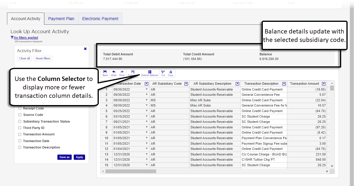 Student account details page, Account Activity tab.