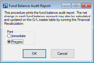 Fund_Balance_Audit_Report_window_Desktop.jpg