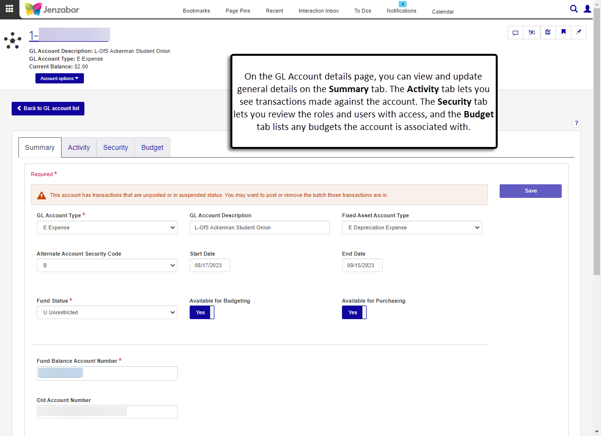 GL account details page with tabs to view summary, account activity, security, and budget information.