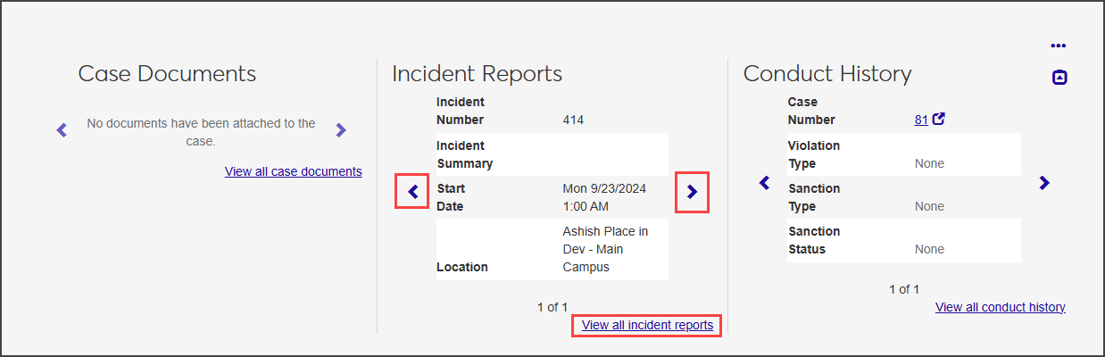 Case summary page - widgets highlighted