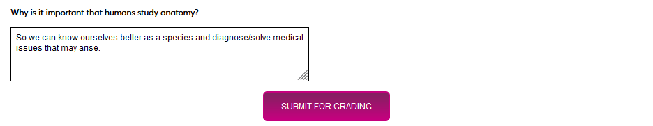 Quizzes_81.png